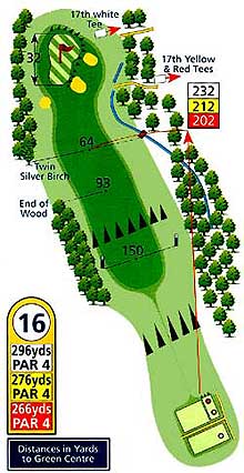hole16 hole16